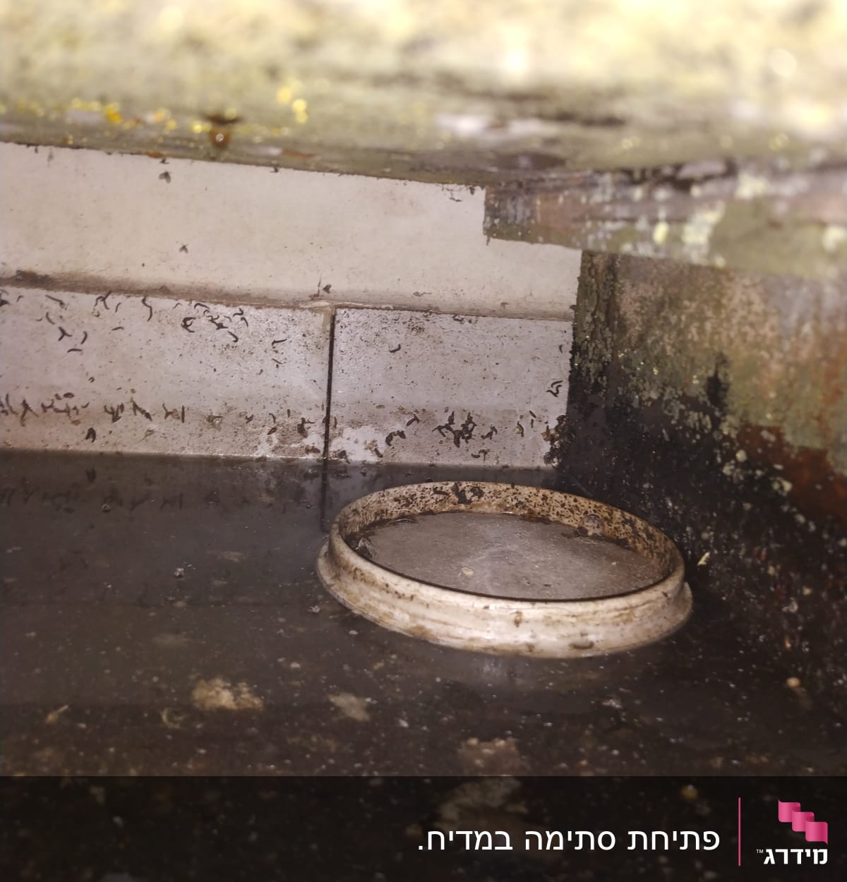 מים עומדים עם מכסה ביוב מלוכלך